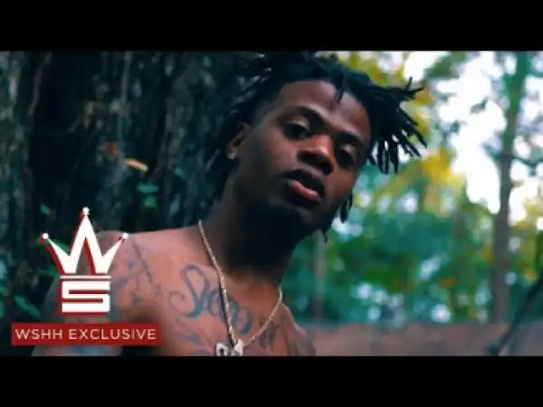 Video: Sherwood Marty - Wild